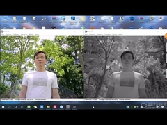 Binocular wide dynamic camera